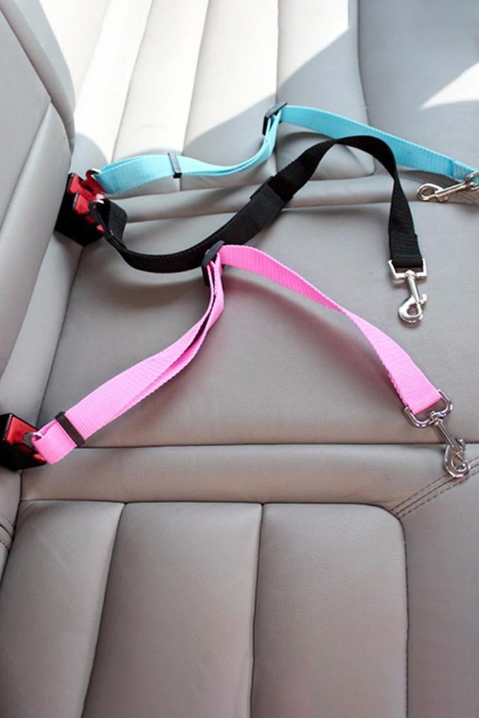 Dog Car Seat Belt Restraint