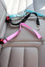 Dog Car Seat Belt Restraint