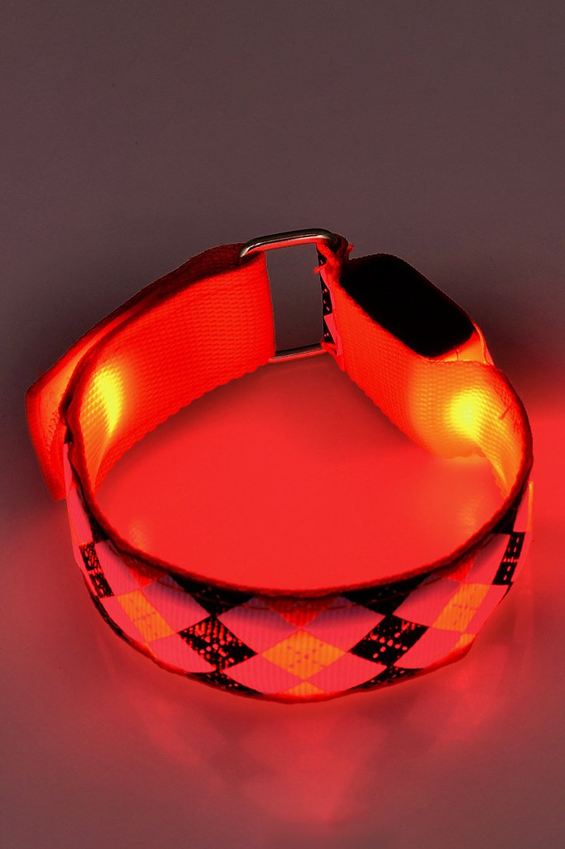 Led Safety Dog Collar