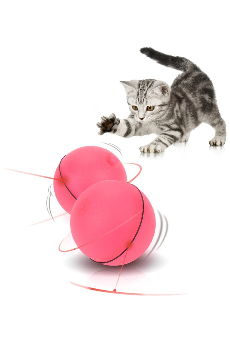 Electric Pet Ball