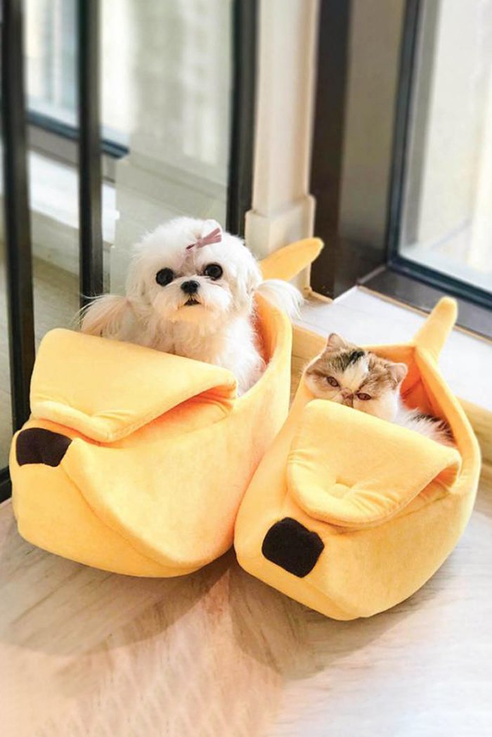 Pet Sleeping bag