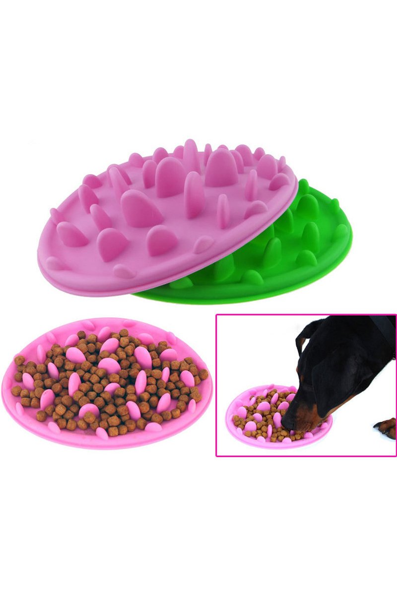 Anti Choke Pet Feeder