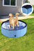 Foldable Pet Swimming Pool